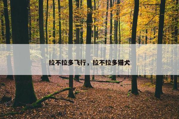 蜂鸟