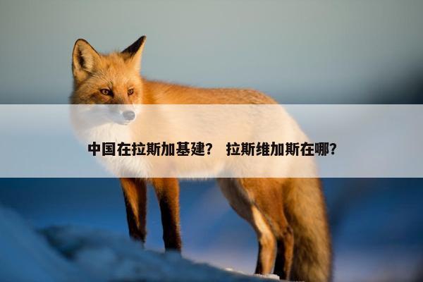 中国在拉斯加基建？ 拉斯维加斯在哪？