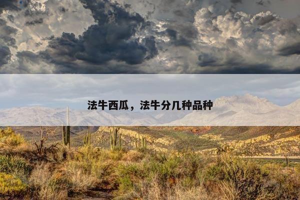 法牛 第17页