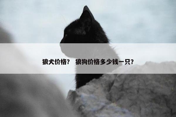 狼犬价格？ 狼狗价格多少钱一只？