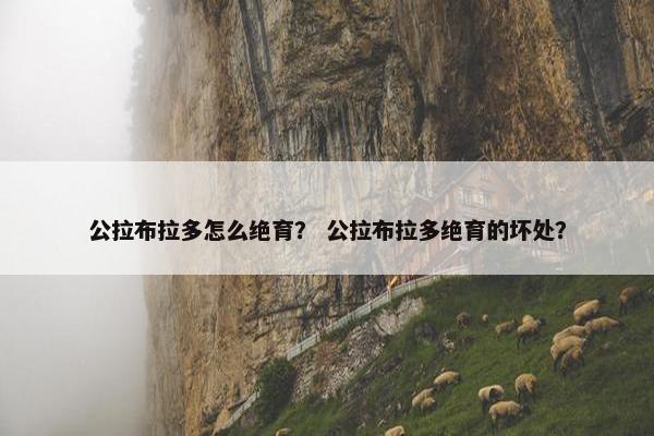 公拉布拉多怎么绝育？ 公拉布拉多绝育的坏处？
