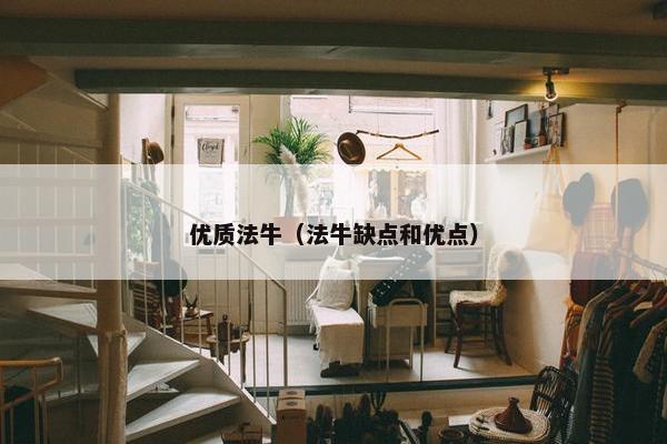 优质法牛（法牛缺点和优点）