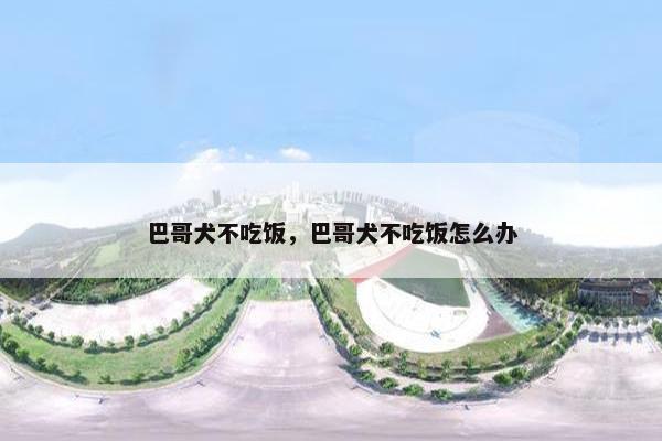 巴哥犬不吃饭，巴哥犬不吃饭怎么办