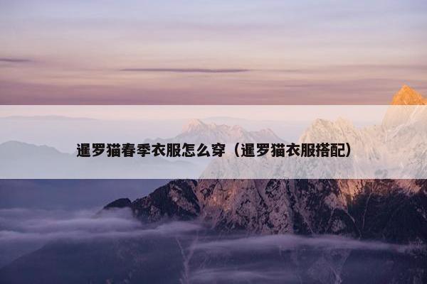 暹罗猫春季衣服怎么穿（暹罗猫衣服搭配）