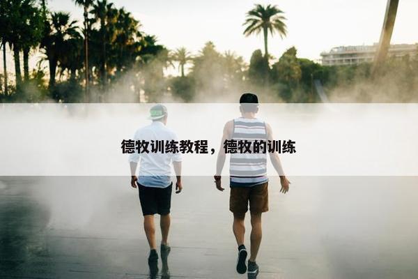 德牧训练教程，德牧的训练
