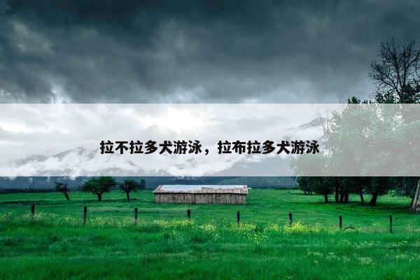 拉不拉多犬游泳，拉布拉多犬游泳