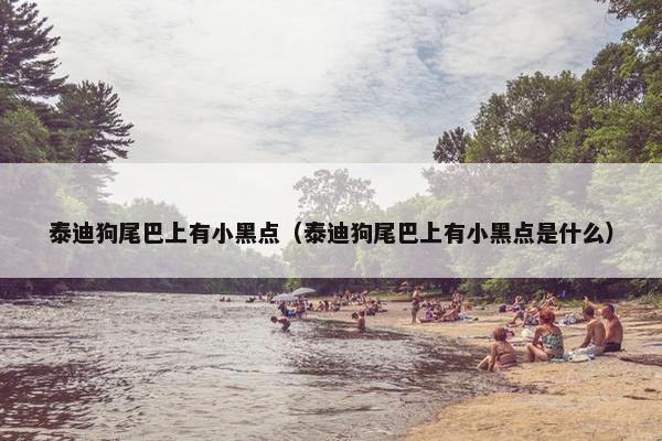 泰迪狗尾巴上有小黑点（泰迪狗尾巴上有小黑点是什么）