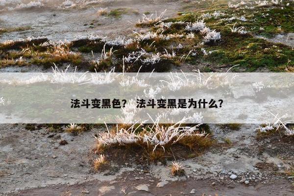 法斗变黑色？ 法斗变黑是为什么？