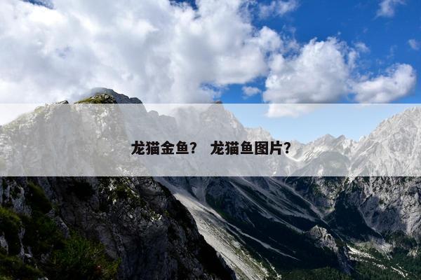 龙猫金鱼？ 龙猫鱼图片？