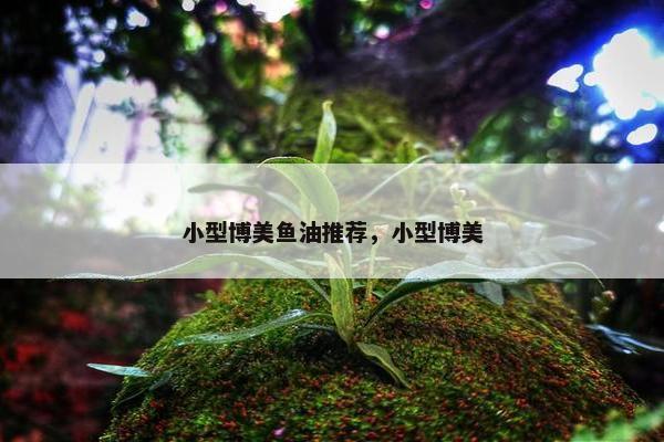 博美 第31页