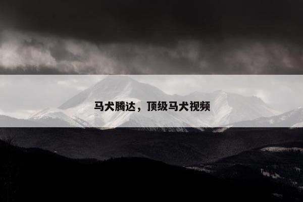 马犬腾达，顶级马犬视频