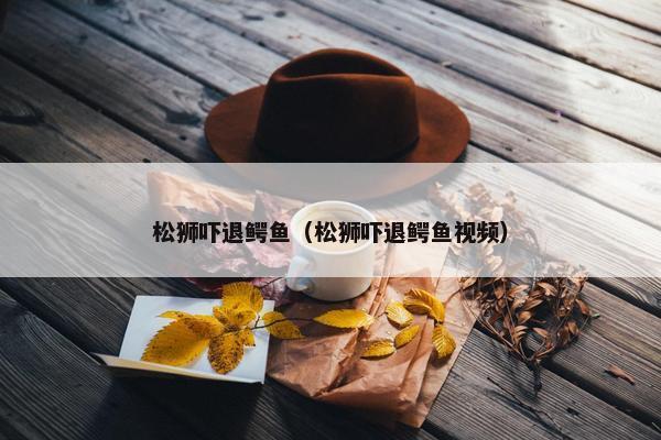 松狮吓退鳄鱼（松狮吓退鳄鱼视频）