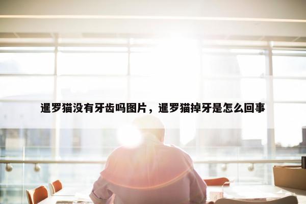 暹罗猫没有牙齿吗图片，暹罗猫掉牙是怎么回事