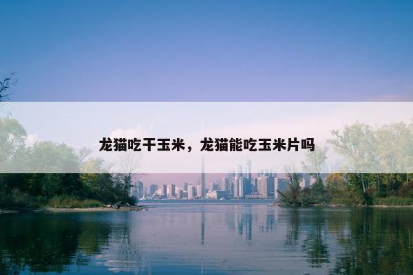 龙猫吃干玉米，龙猫能吃玉米片吗