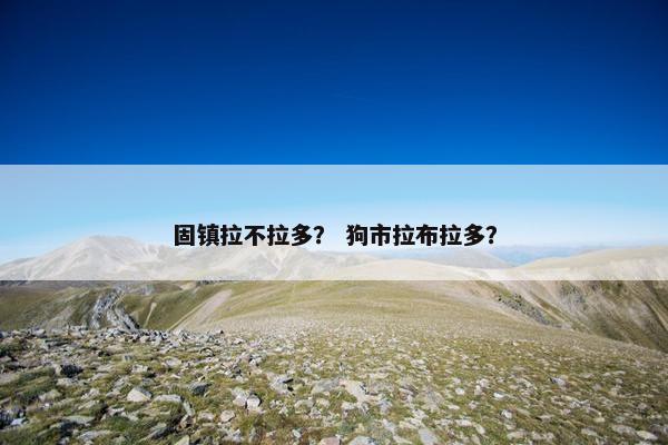 狗市 第3页