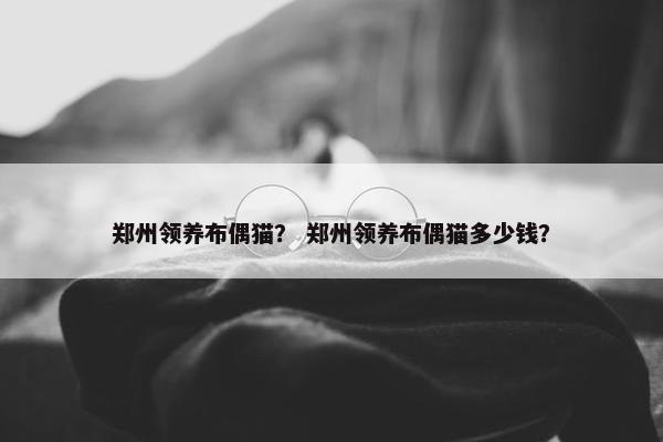 郑州领养布偶猫？ 郑州领养布偶猫多少钱？