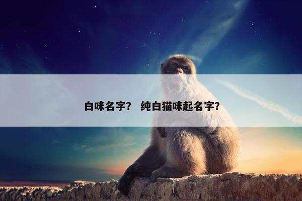 白咪名字？ 纯白猫咪起名字？