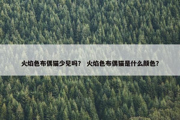 火焰色布偶猫少见吗？ 火焰色布偶猫是什么颜色？