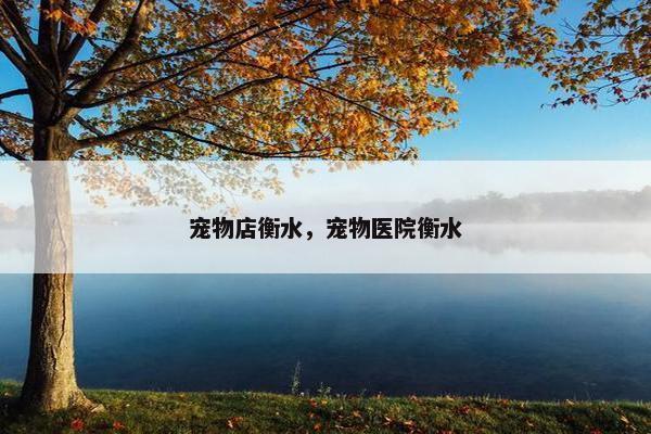 宠物店衡水，宠物医院衡水