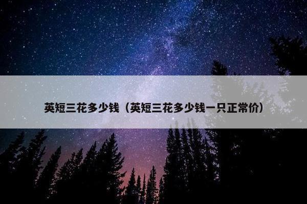 英短 第23页