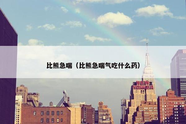 比熊急喘（比熊急喘气吃什么药）