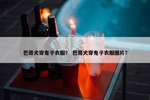 巴哥犬穿鬼子衣服？ 巴哥犬穿鬼子衣服图片？