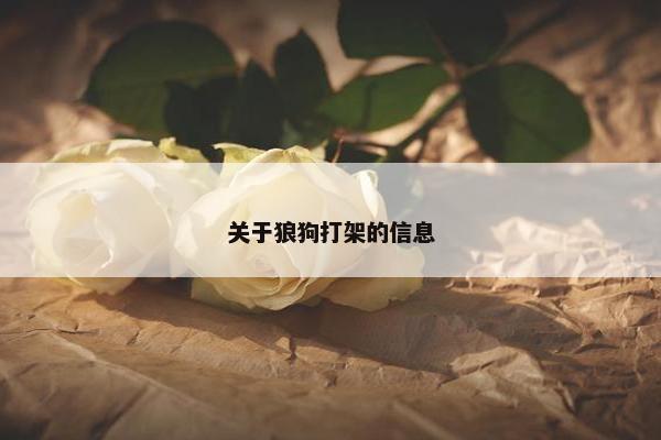 狗咬吕洞宾