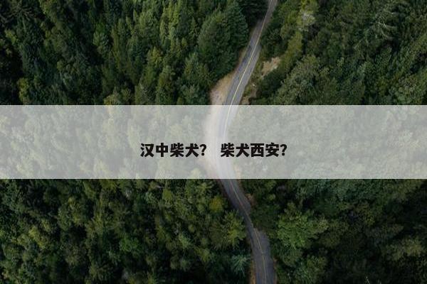 汉中柴犬？ 柴犬西安？