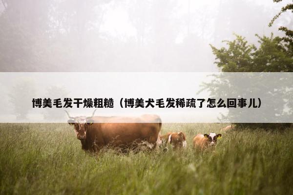营养不良