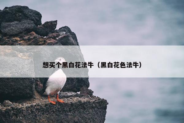 想买个黑白花法牛（黑白花色法牛）