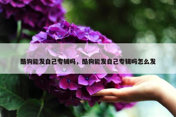 酷狗能发自己专辑吗，酷狗能发自己专辑吗怎么发