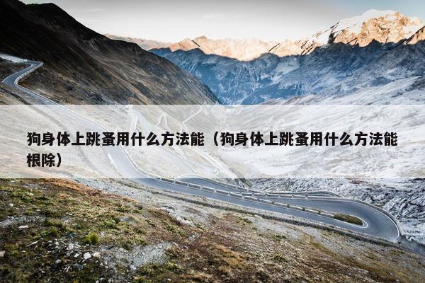 狗身体上跳蚤用什么方法能（狗身体上跳蚤用什么方法能根除）