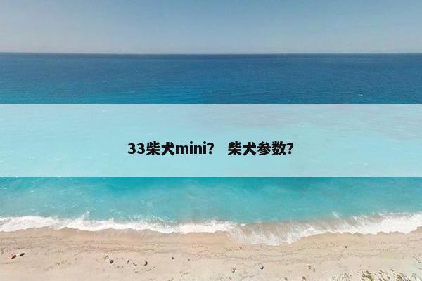 33柴犬mini？ 柴犬参数？