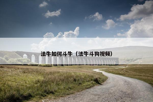 法牛如何斗牛（法牛斗狗视频）