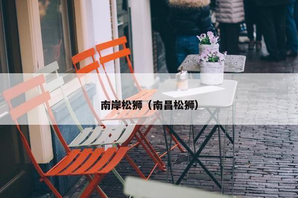 南岸松狮（南昌松狮）