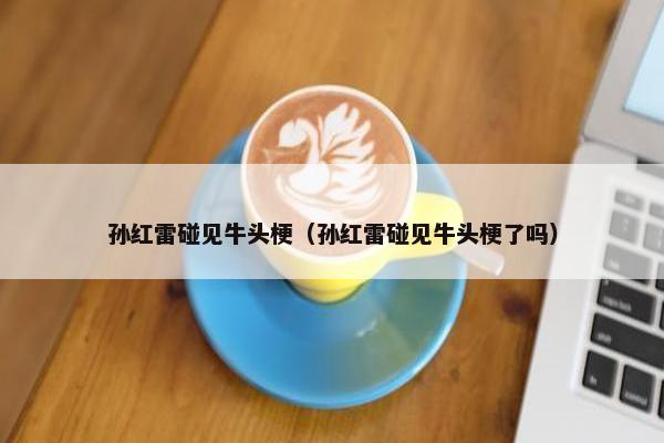 孙红雷碰见牛头梗（孙红雷碰见牛头梗了吗）