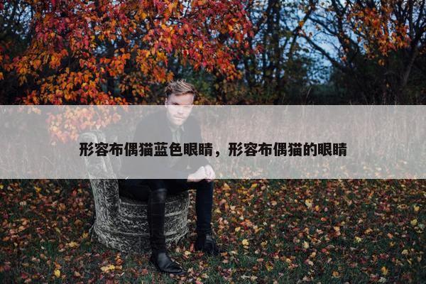 形容布偶猫蓝色眼睛，形容布偶猫的眼睛