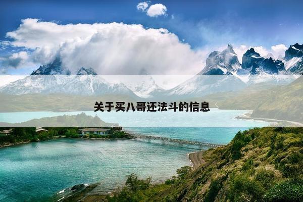 关于买八哥还法斗的信息