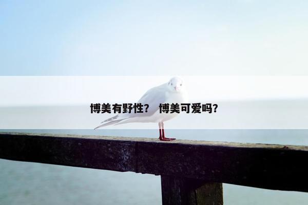 博美有野性？ 博美可爱吗？
