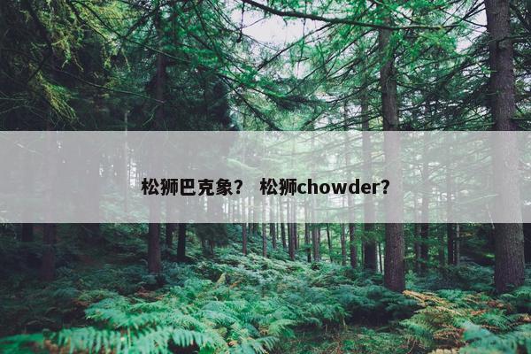 松狮巴克象？ 松狮chowder？