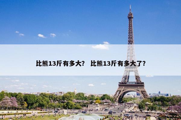 比熊13斤有多大？ 比熊13斤有多大了？