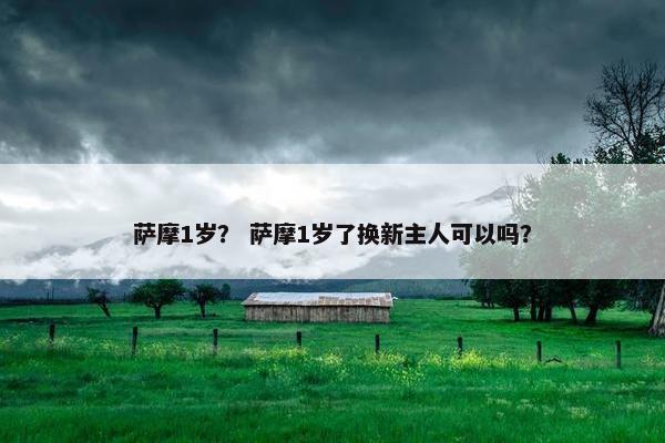 萨摩1岁？ 萨摩1岁了换新主人可以吗？
