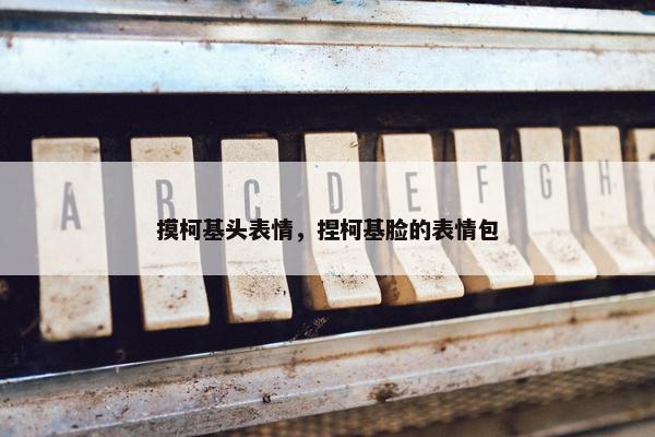 摸柯基头表情，捏柯基脸的表情包