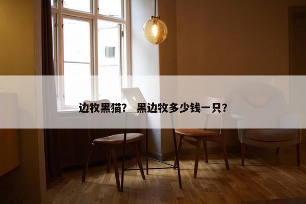 边牧黑猫？ 黑边牧多少钱一只？