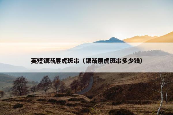 英短银渐层虎斑串（银渐层虎斑串多少钱）