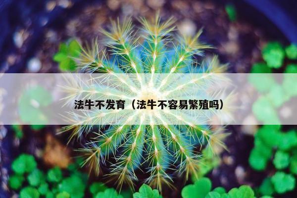法牛不发育（法牛不容易繁殖吗）