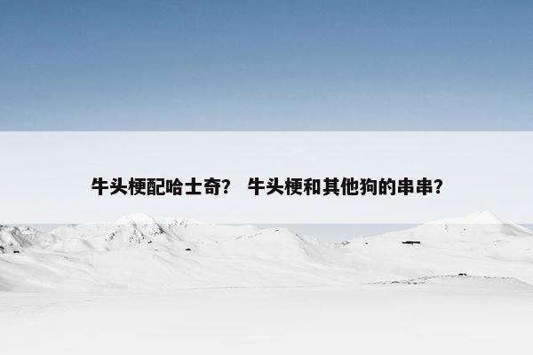 牛头梗配哈士奇？ 牛头梗和其他狗的串串？