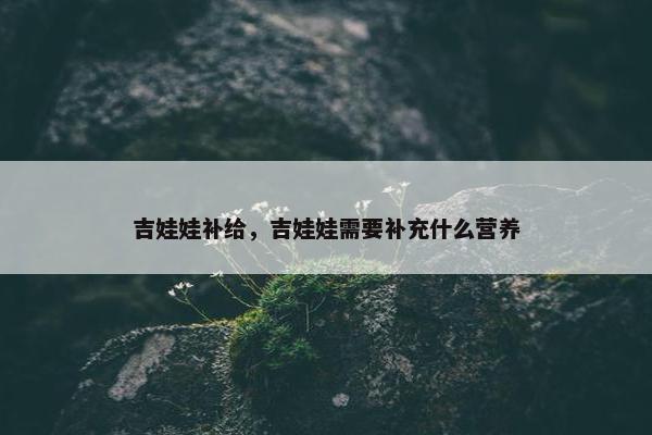 吉娃娃补给，吉娃娃需要补充什么营养