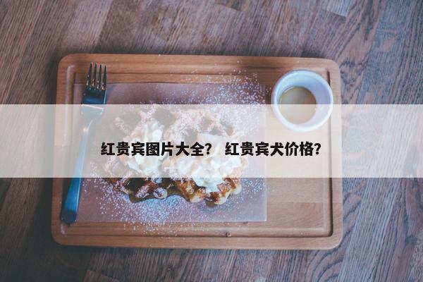 红贵宾图片大全？ 红贵宾犬价格？