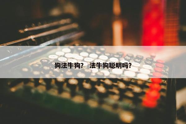 狗法牛狗？ 法牛狗聪明吗？